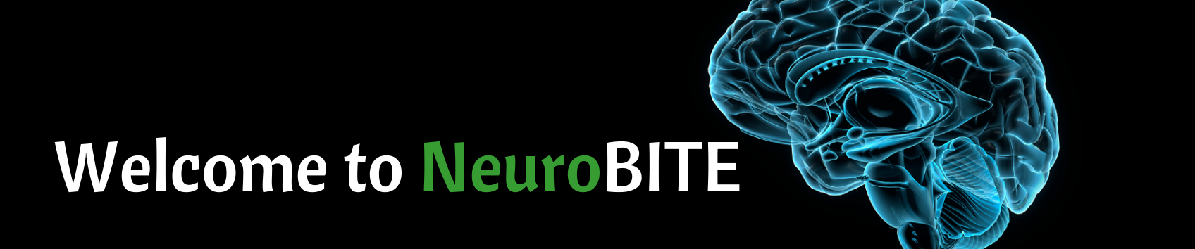 Welcome to NeuroBITE